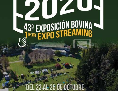 Exposición Bovina 2020