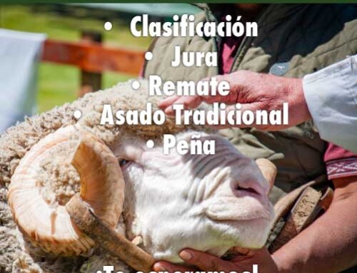 Exposición Ovina 2026
