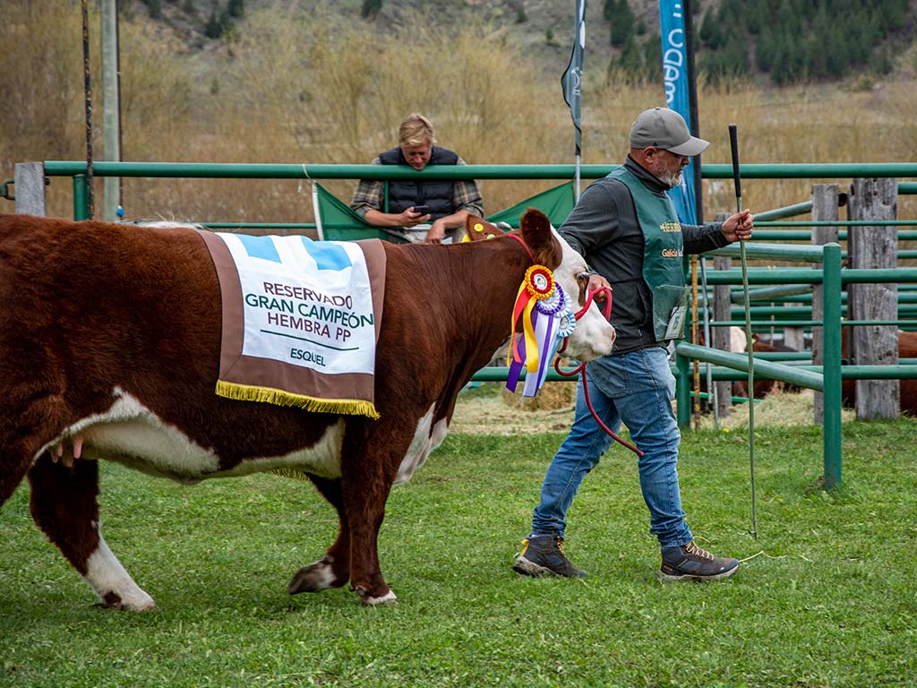 hereford_galeria_2